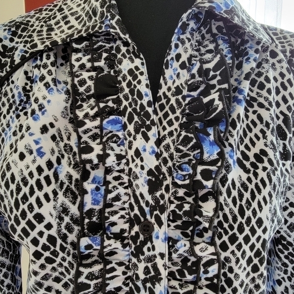 Fred David Print Buttondown Ruffled Blouse Size Small EUC - Picture 2 of 9